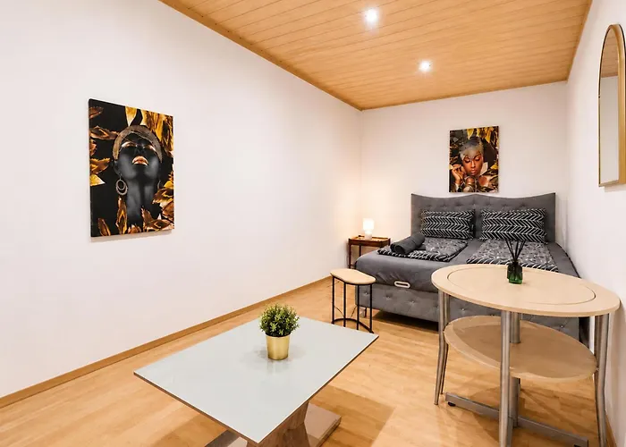 Apartment Comfortable Private In 4br Near Fac Platz Wien